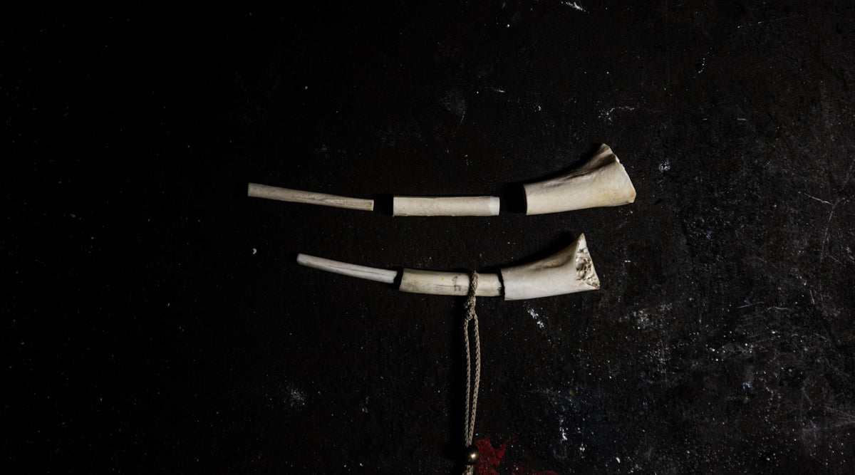 How to make a wing bone turkey call