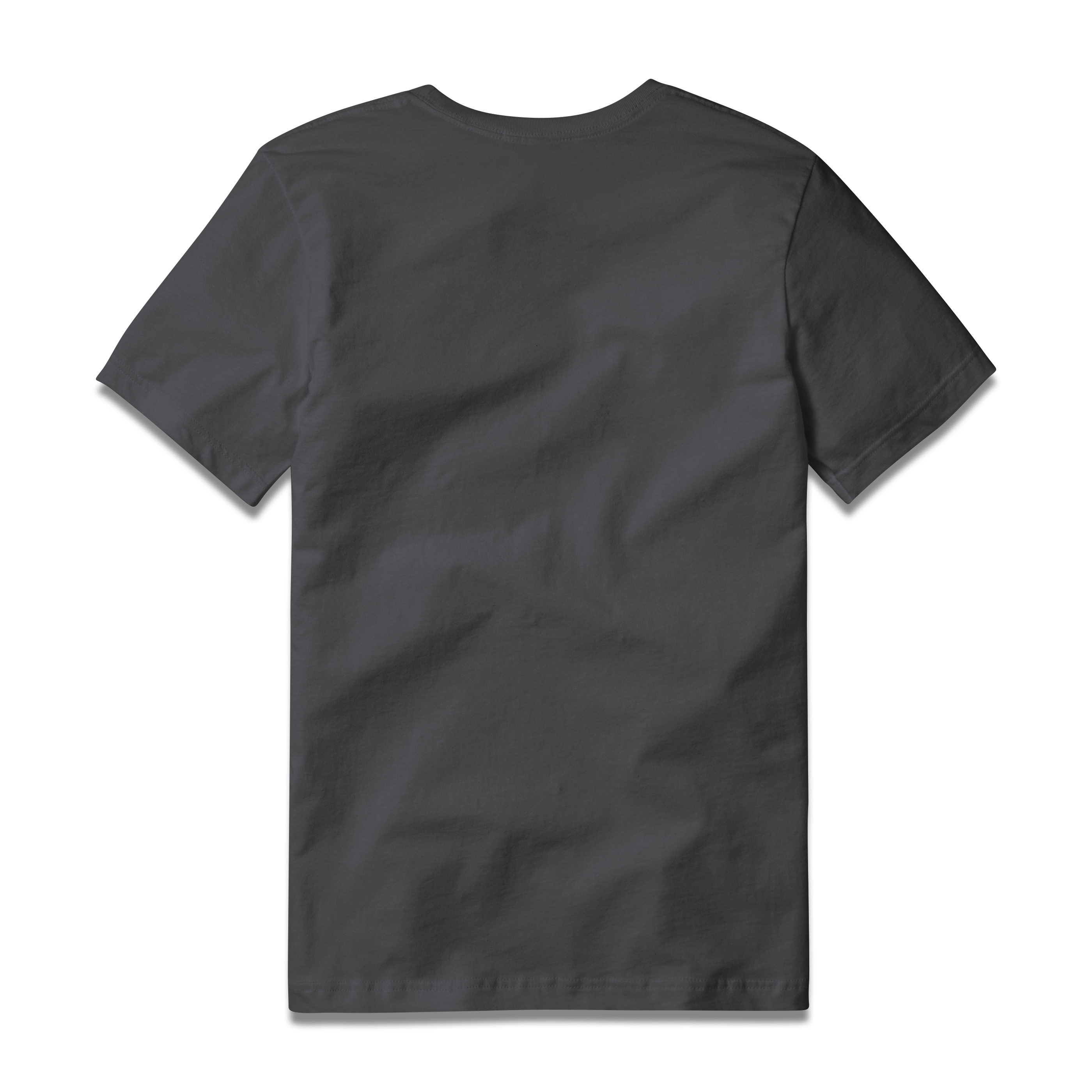 Trademark Tee S/S in Graphite, back view #graphite