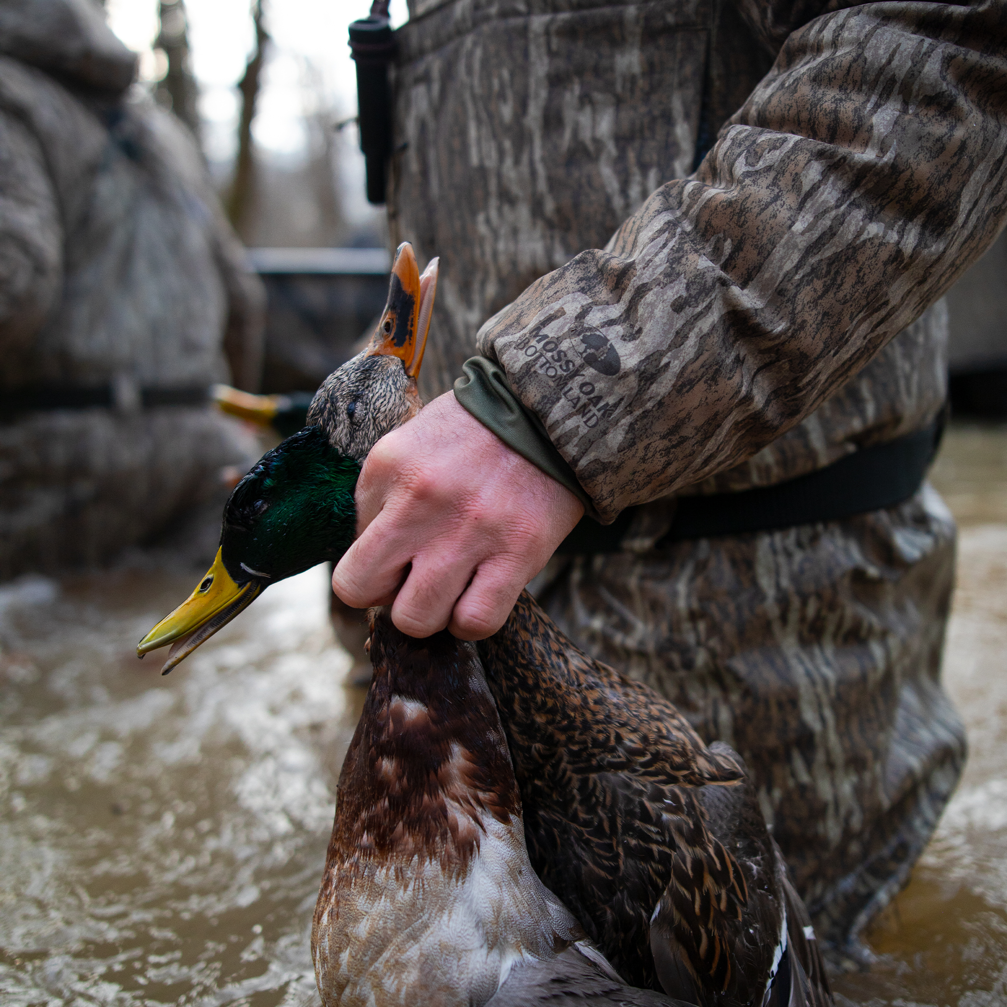 #mossy_oak_bottomland