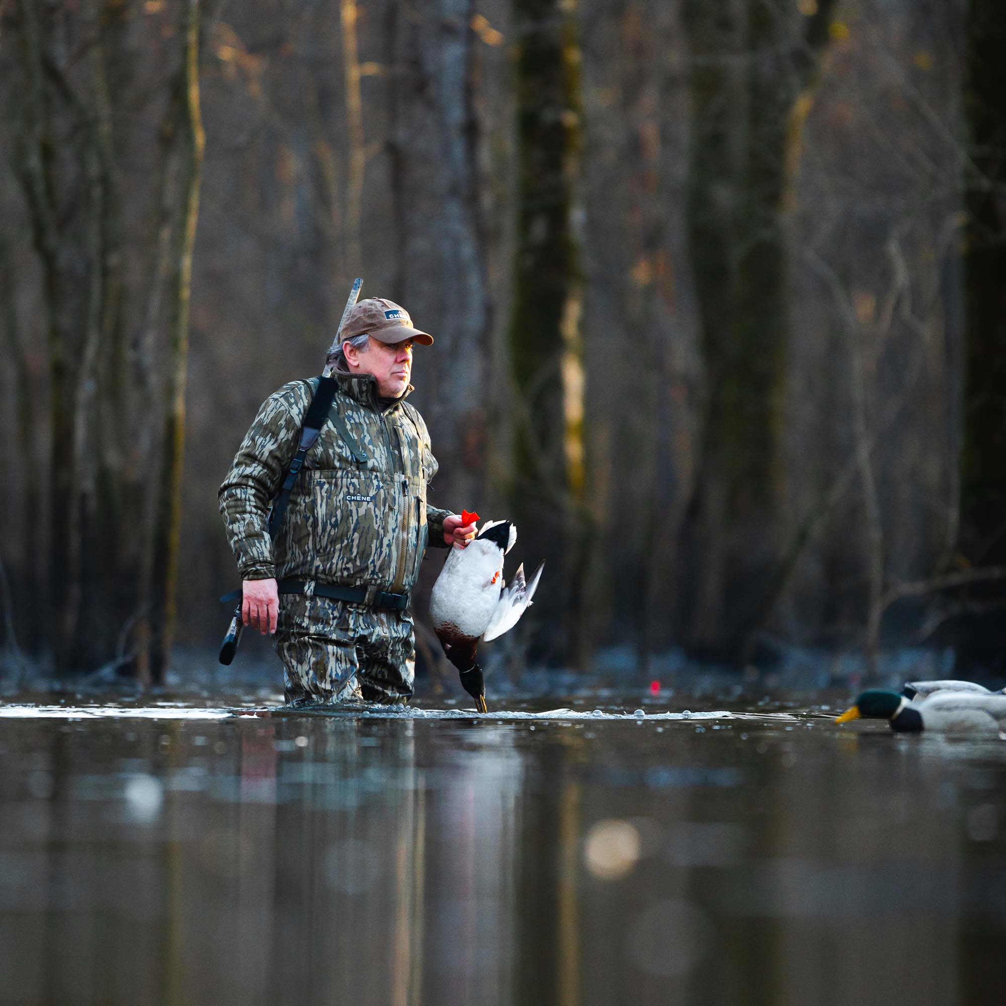 #mossy_oak_original_bottomland