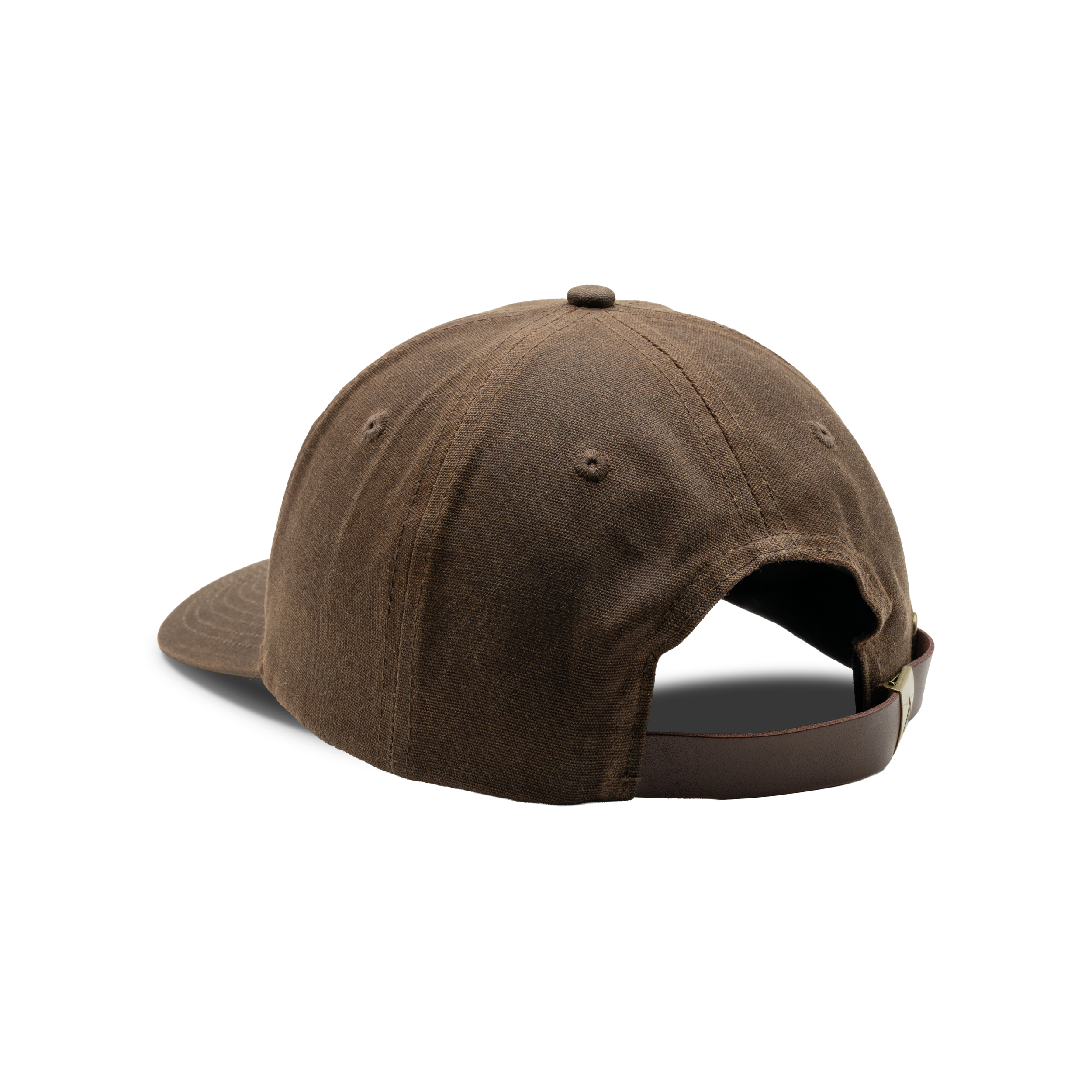 6-Panel Embroidered Waxed Cotton Cap in Buck, back view #buck