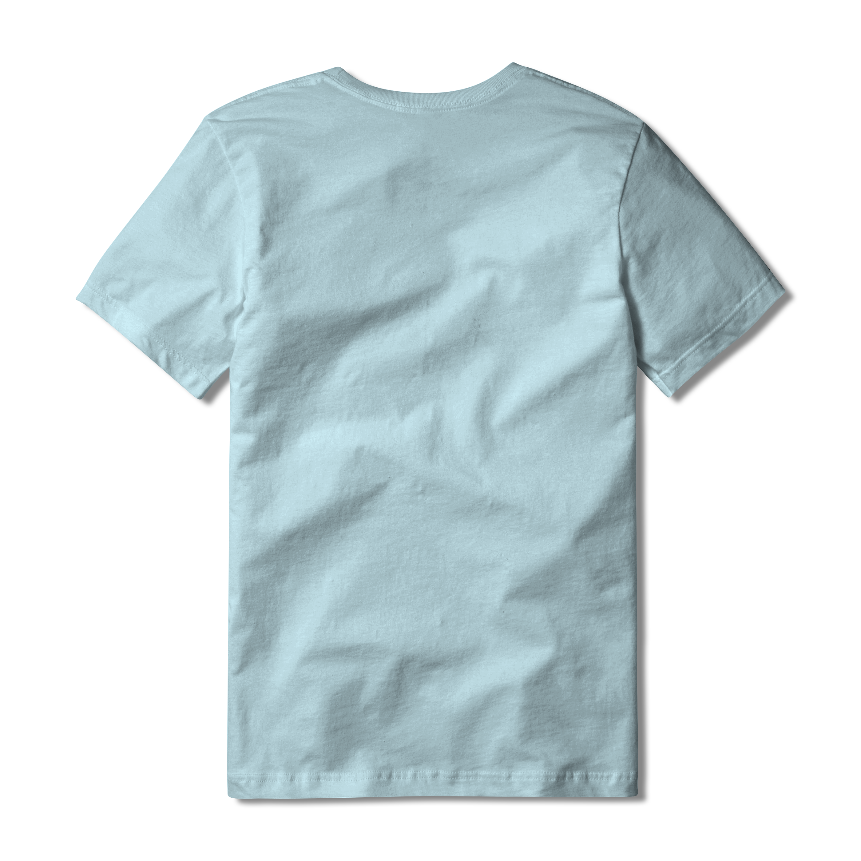 Back of chambray t-shirt #chambray