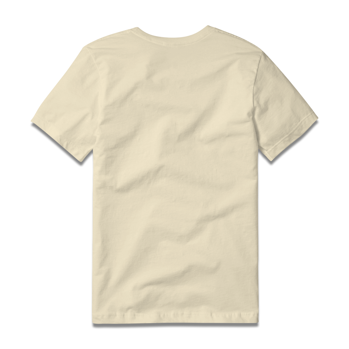 Logo Tee S/S in Ivory, back view #ivory