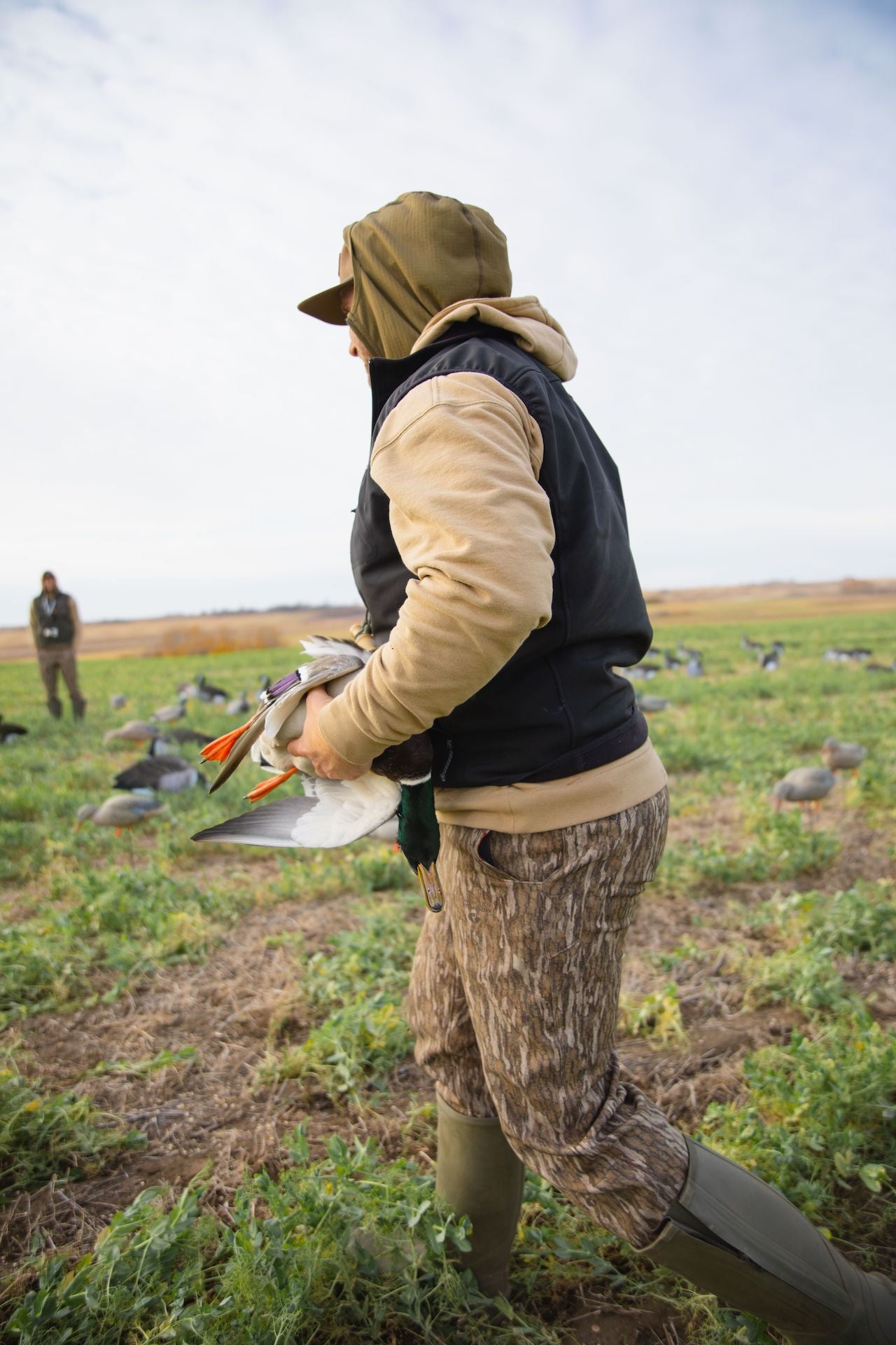 Bonded Fleece Field Pant