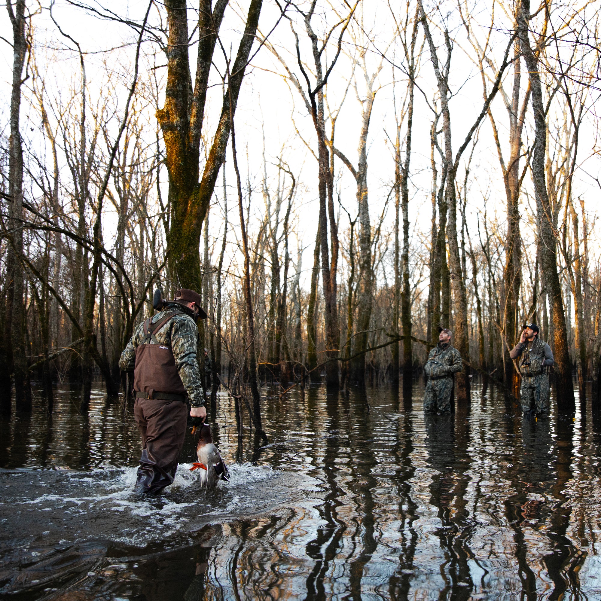 Chêne Gear Solid Brown  Waders